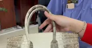 Đấu giá thành công hai chiếc túi Hermès của bà Trương Mỹ Lan