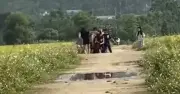 Vụ nữ sinh bị nhóm bạn đánh nhập viện ở Nghệ An: Nguyên nhân từ mâu thuẫn mạng xã hội