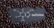 Vì sao caffeine bị kéo vào đường dây ma túy? Sự thật về chất kích thích quen thuộc