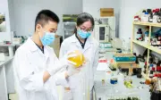 Vi phạm liêm chính khoa học: Ngụy tạo dữ liệu, đạo văn bị xử lý nghiêm