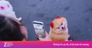 Video: Chú chó được khách Tây vây kín ở biển Nha Trang