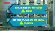 Video: Giá gạo xuất khẩu của Việt Nam tăng trở lại