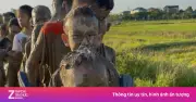 Video lớp học bắt cá, tắm bùn cho khỏi nghỉ hè gây sốt