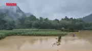 Video: Mưa hơn 300mm gây ngập sâu, ô tô khách bị lũ cuốn trôi tại Cao Bằng