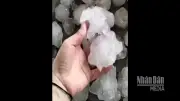 Video mưa đá tiếp tục xuất hiện gây thiệt hại tại Nghệ An và Hà Tĩnh