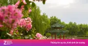 Video Nơi Tổng Thống Putin Coi Là Căn Nhà Thứ Hai Ở Trung Quốc