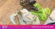 Video quán buffet bức xúc vụ khách giấu thức ăn thừa né phụ phí