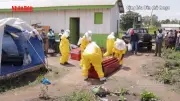 Video WHO: Chủng Ebola Bundibugyo khiến 30-50% bệnh nhân tử vong