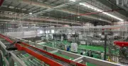 VietinBank rao bán nhà máy Tanifood Tây Ninh liên quan bà Trương Mỹ Lan