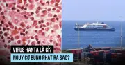 Virus Hanta trên du thuyền hạng sang: Nguyên nhân và nguy cơ lây lan