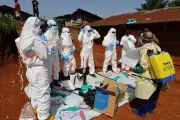 Việt Nam chưa ghi nhận ca bệnh Ebola, tăng cường giám sát người nhập cảnh