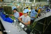 Việt Nam - Ấn Độ mở rộng không gian hợp tác thương mại trong giai đoạn mới