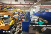 Việt Nam - Ấn Độ thúc đẩy hợp tác kinh tế số hướng tới mục tiêu 25 tỷ USD