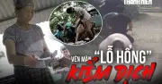 Vén màn lỗ hổng kiểm dịch: Thương lái tự đóng dấu thịt lợn