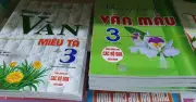 Văn mẫu vẫn tồn tại trong trường phổ thông: Nguyên nhân và giải pháp