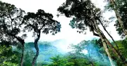 Vườn quốc gia Chư Yang Sin cảnh báo leo núi tự phát, nguy cơ tai nạn cao