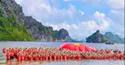 Vịnh Bái Tử Long: Kỳ quan Đông Nam Á 2026 yên bình bên cạnh Hạ Long