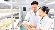 Vĩnh Long từng bước hình thành hệ sinh thái kinh tế tuần hoàn