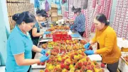 Vĩnh Long đẩy mạnh xây dựng mã số vùng trồng, liên kết sản xuất nông sản xuất khẩu