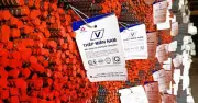 VNSTEEL muốn đầu tư dự án thép 100 triệu USD tại Quảng Ngãi