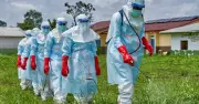 WHO cảnh báo dịch Ebola lan rộng tại châu Phi, 900 ca nghi nhiễm