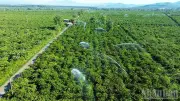 Xã Đăk Hà chủ động phòng chống hạn hán từ sớm, bảo đảm sản xuất bền vững