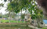 Xô xát giữa hai bố con ở Điện Biên, người con tử vong