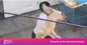 Xác minh clip người đàn ông ném chó, đuổi đánh shipper ở TP.HCM