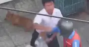 Xác minh vụ người đàn ông hành hung shipper trước khách sạn ở Vũng Tàu