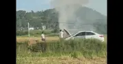 Xe ô tô con bất ngờ bốc cháy khi chạy qua đường phơi rơm