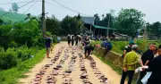 Xóm Trắng Cát hân hoan kéo lưới, chia cá - nét đẹp tình làng nghĩa xóm