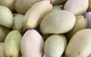 Xoài Việt vào mùa, giá rẻ bất ngờ chỉ hơn chục nghìn đồng/kg