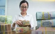 Đề xuất giảm trừ thuế TNCN tối đa 47 triệu đồng/năm cho y tế, giáo dục