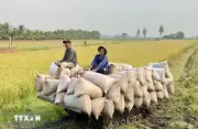 Xuất khẩu nông lâm thủy sản 4 tháng đầu năm 2026 ước đạt 23,04 tỷ USD
