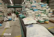 Xây dựng thương hiệu gạo Việt xanh, phát thải thấp