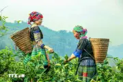 Đẩy mạnh chiến lược công tác dân tộc đến 2030, tầm nhìn 2045