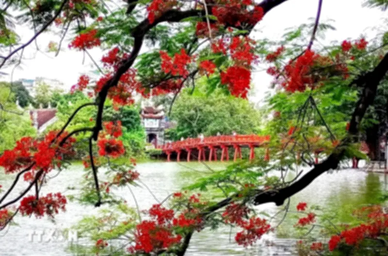 29 luật quan trọng có hiệu lực từ ngày 1/7/2025