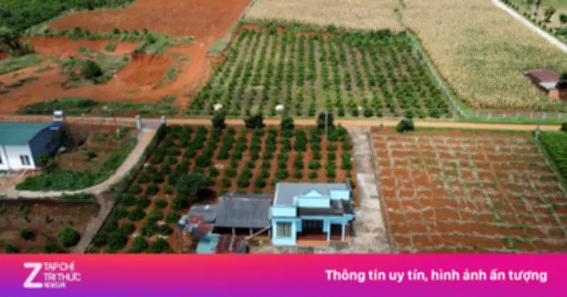 3 trường hợp được giảm 70% tiền chuyển đổi đất vườn lên đất ở theo quy định mới