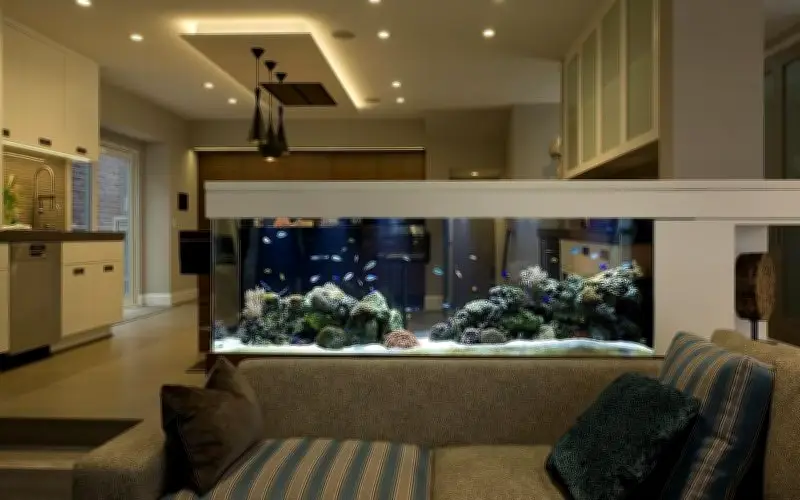 4 vị trí đặt bể cá phong thủy gây hao tài, ảnh hưởng sức khỏe