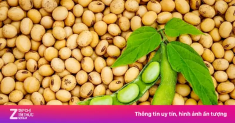 6 loại đậu quen thuộc giúp xương chắc khỏe, ngừa loãng xương