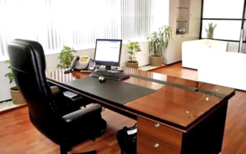 9 bí quyết phong thủy văn phòng giúp thu hút tài lộc và giữ chân nhân tài