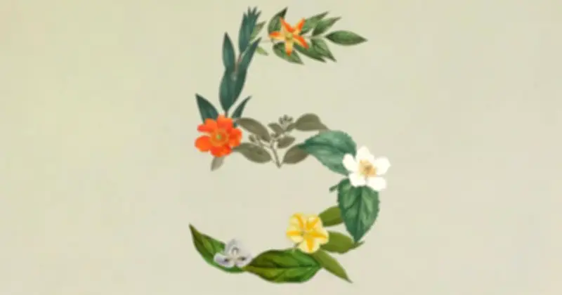 Anthropic ra mắt Claude Sonnet 5: Hiệu năng gần bằng Opus, giá chỉ một nửa