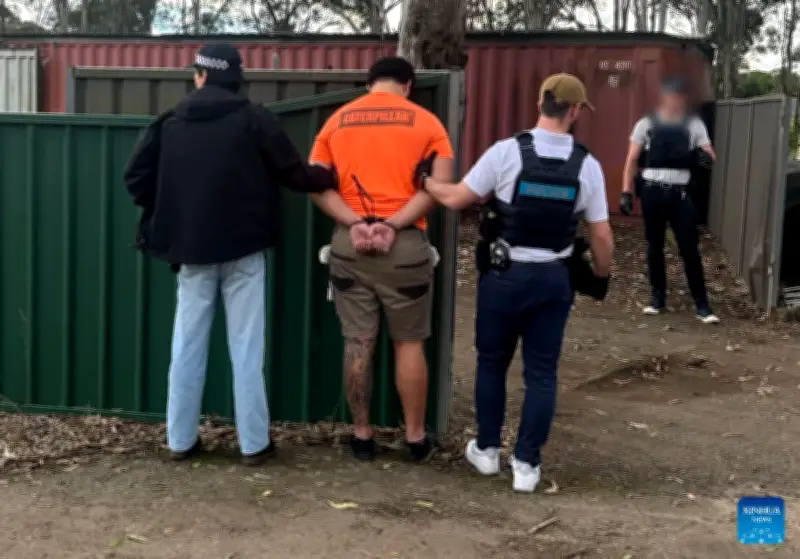 Australia thu giữ ma túy trị giá 36 triệu AUD trong container đông lạnh