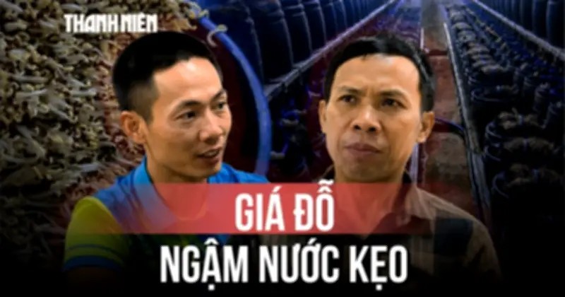Bắc Ninh khởi tố 3 bị can sản xuất giá đỗ ngậm hóa chất 6-BAP