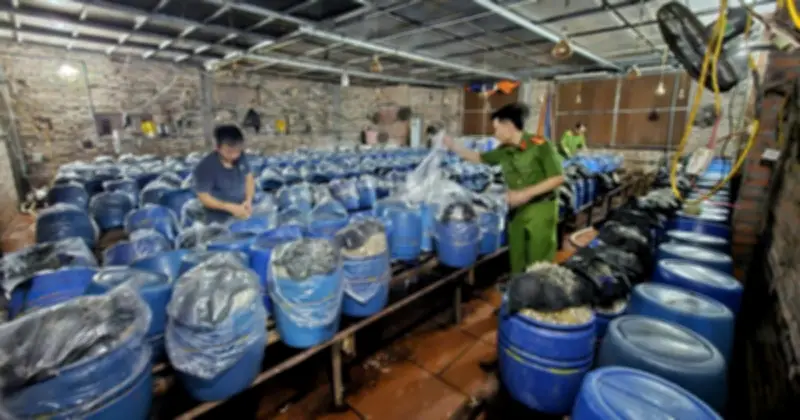 Bắc Ninh khởi tố 3 bị can sản xuất giá đỗ ngậm hóa chất độc hại