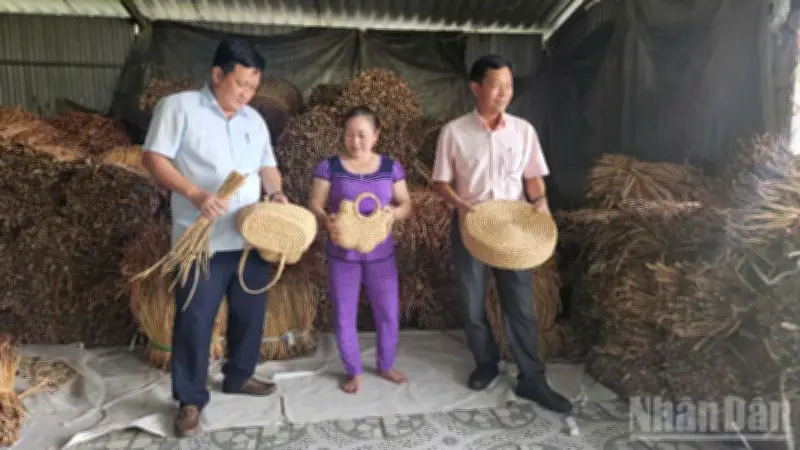 Biến cây lục bình và dược liệu thành sản phẩm hàng hóa, tạo việc làm cho phụ nữ nông thôn