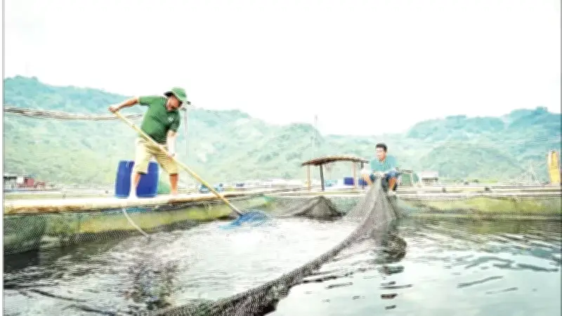 Biến đổi khí hậu đe dọa ngành thủy sản, cần thích nghi và ứng dụng công nghệ
