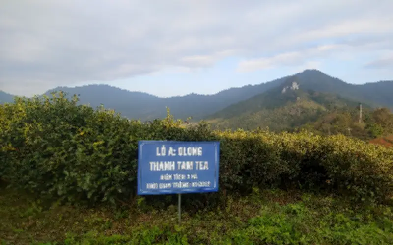 Bản đồ số du lịch nông thôn: Động lực phát triển kinh tế nông thôn