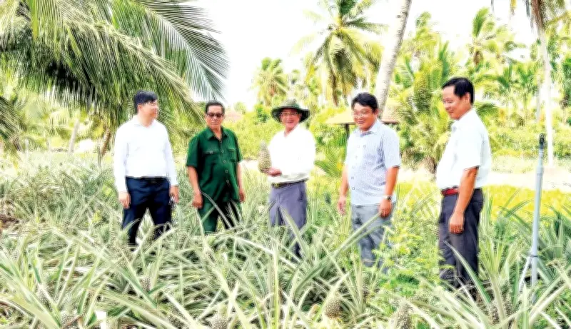 Bưng Sẫm chuyển mình: Cách mạng cây trồng nâng cao đời sống