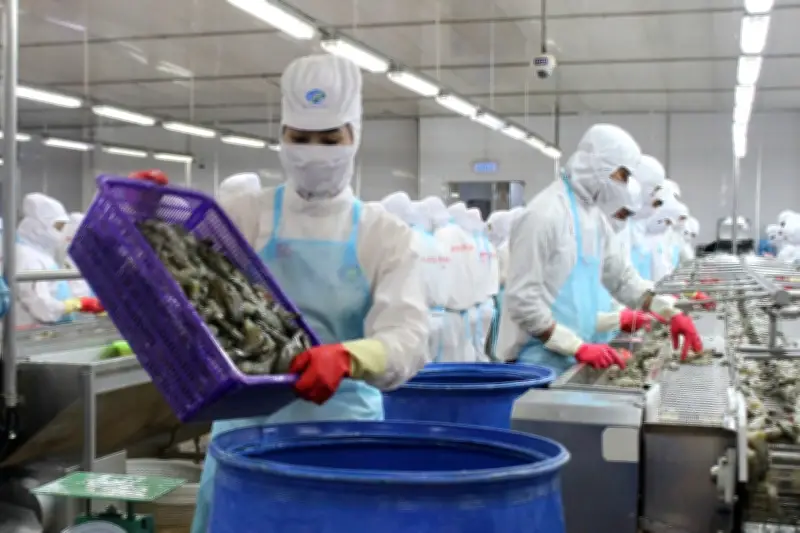 Bất chấp nhiều áp lực, xuất khẩu thủy sản vẫn tăng trưởng 2 con số